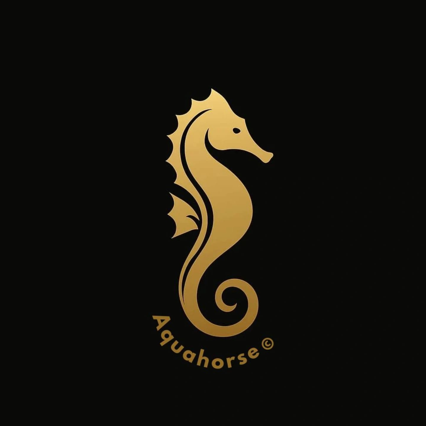 aquahorse-shower.com